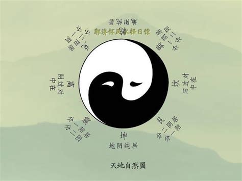 太極圖人生哲理|太极中的人生哲理林立通带你领略太极人生的最高境界